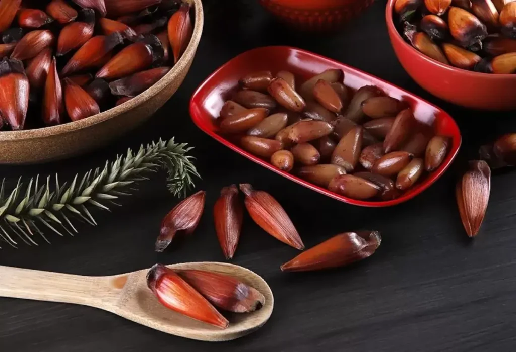 Uma mesa com vários pinhões.