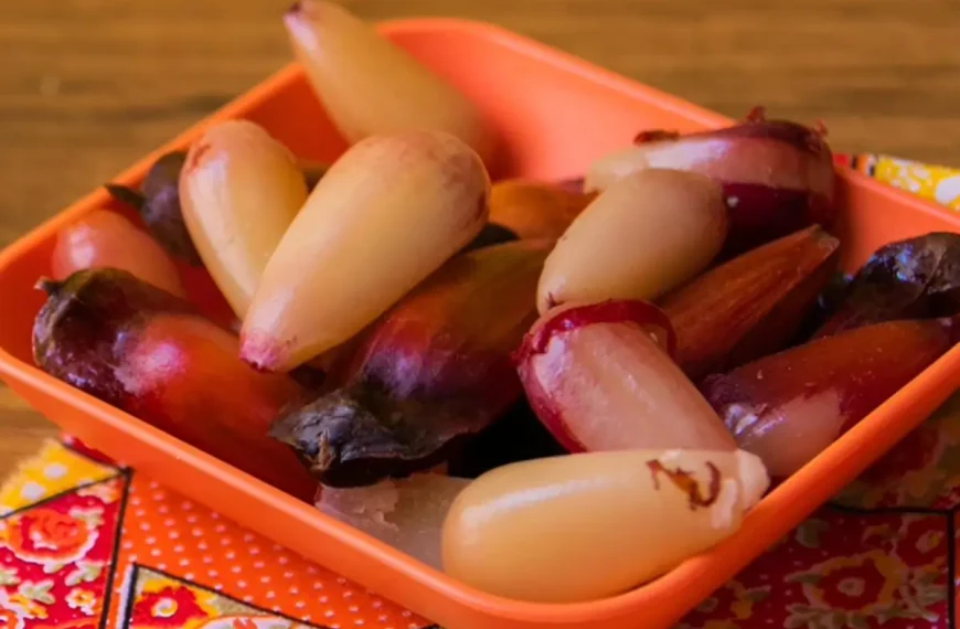 Uma tigela com pinhão pronto para ser servido.