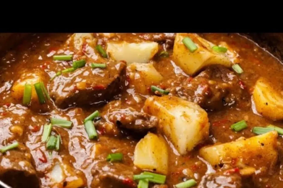 Carne ensopada na panela de pressão pronta para ser servida.