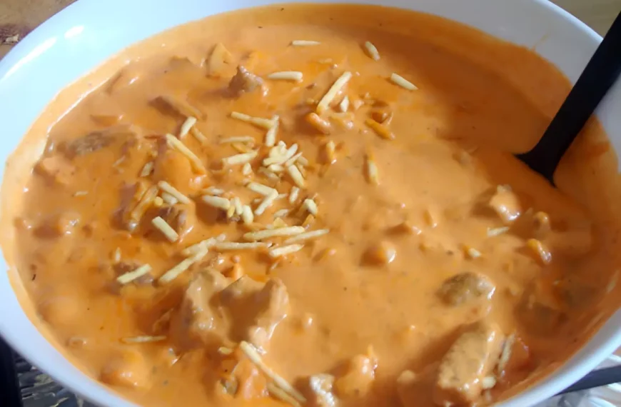 Um prato com estrogonofe de frango.