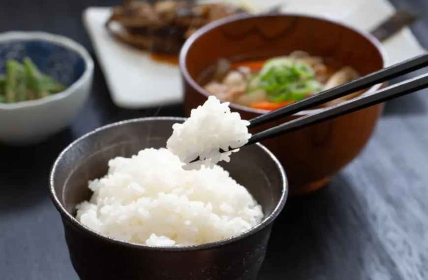 Uma tigela com arroz japonês pronto para ser servido.