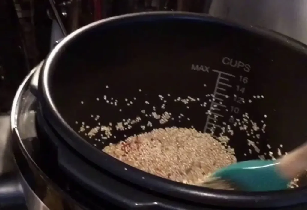 Quinoa sendo preparada na panela elétrica de arroz.