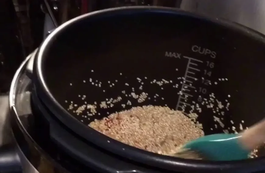 Quinoa sendo preparada na panela elétrica de arroz.