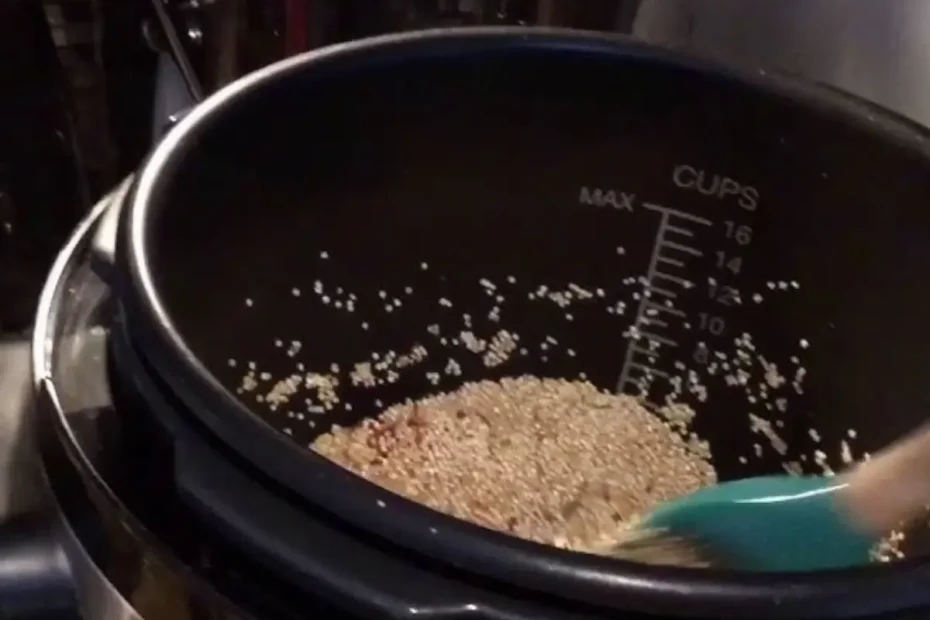 Quinoa sendo preparada na panela elétrica de arroz.