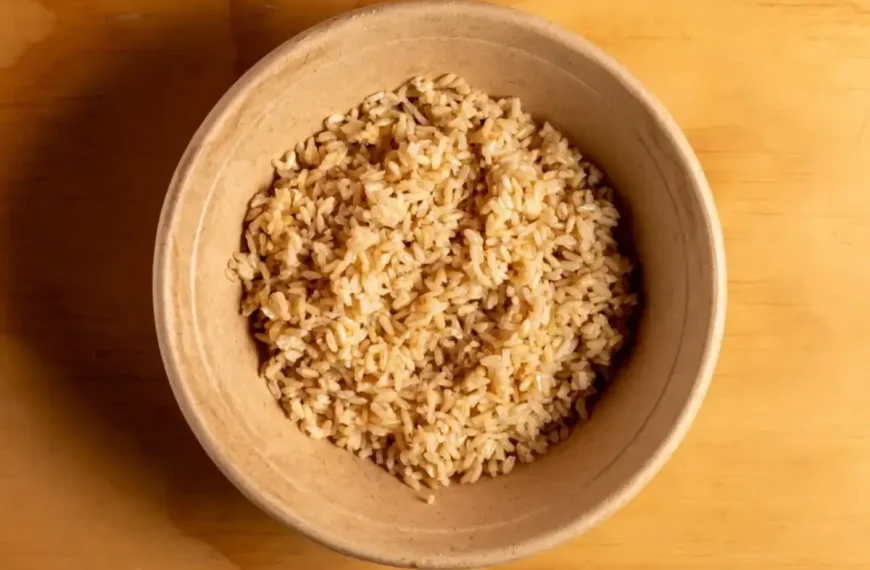 Um prato com arroz integral feito na panela elétrica.