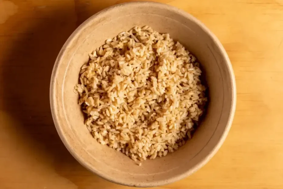 Um prato com arroz integral feito na panela elétrica.