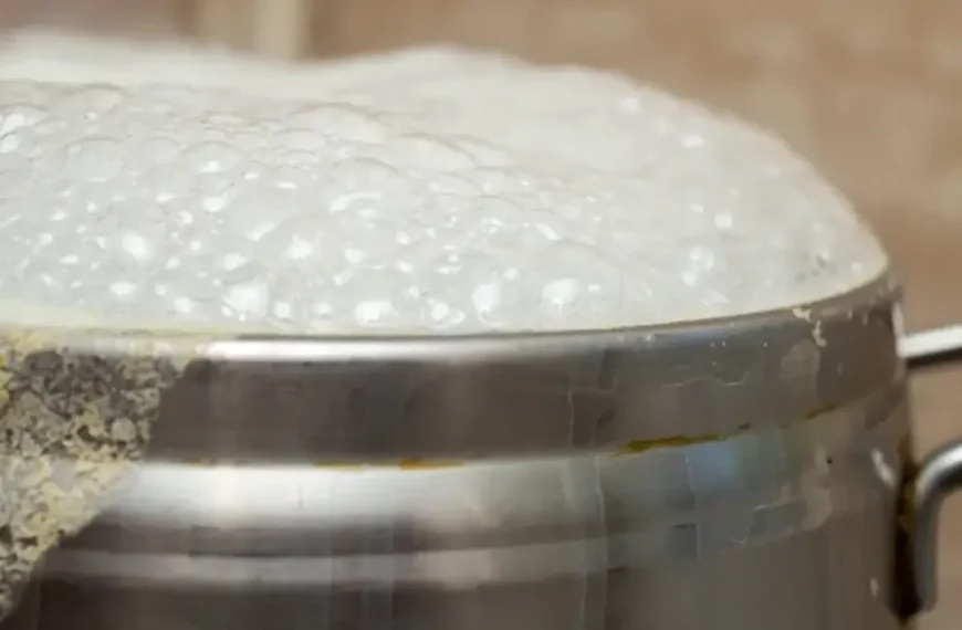 Como Limpar Sua Panela Corretamente com Ingredientes Caseiros de Forma Fácil 4