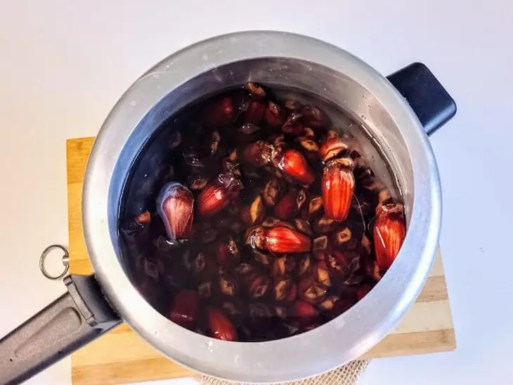 Quanto tempo leva para cozinhar pinhão na panela de pressão Dicas e tempos ideais