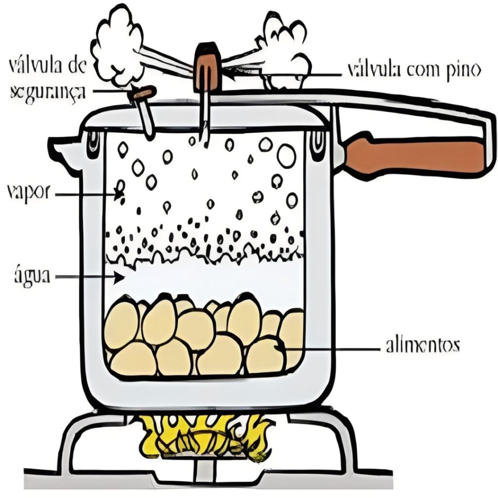 Quem inventou a Panela de Pressão A história completa, dos laboratórios ao seu fogão 5